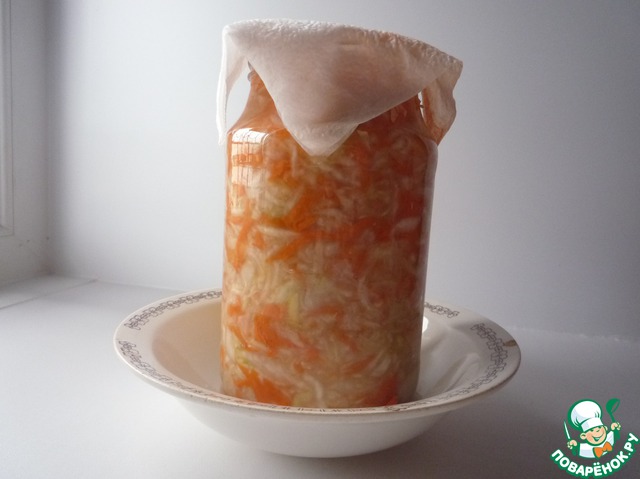Sauerkraut with Apple and carrot