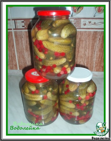 Pickled cucumbers with cranberry