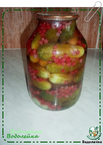 Cucumbers with red currant