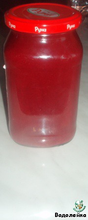 Sauce of red currant