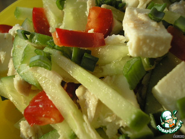 Vegetable salad with chicken and cheese