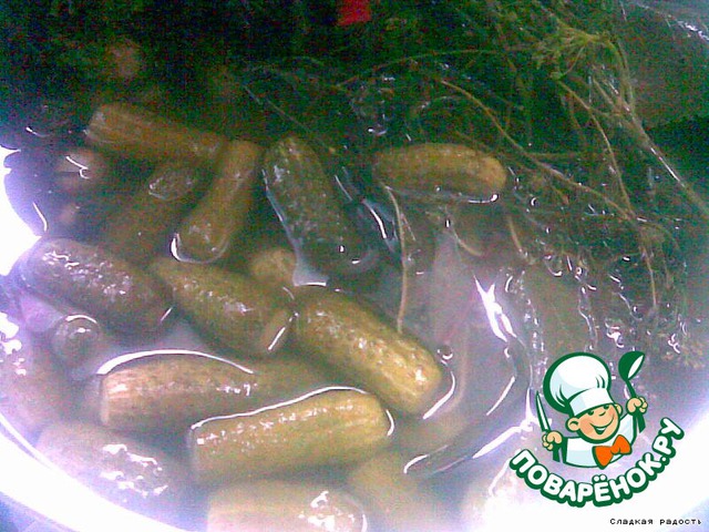 Freshly-salted cucumbers