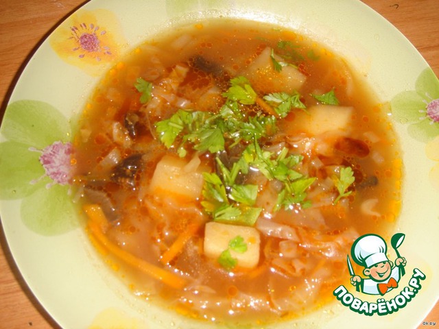 Russian cabbage soup from fresh cabbage with mushrooms