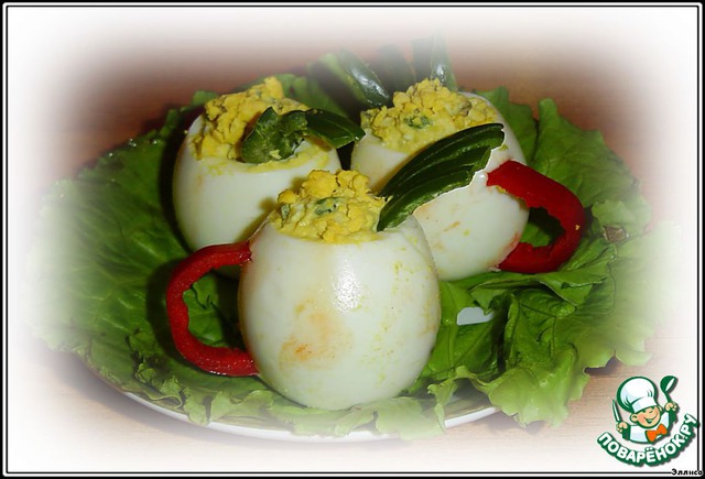 Appetizer 