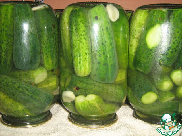 Cucumbers 