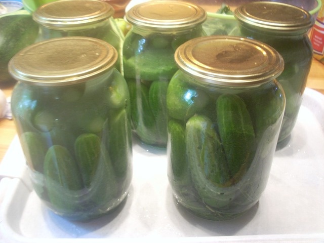 Соленые хрустящие огурчики холодным способом