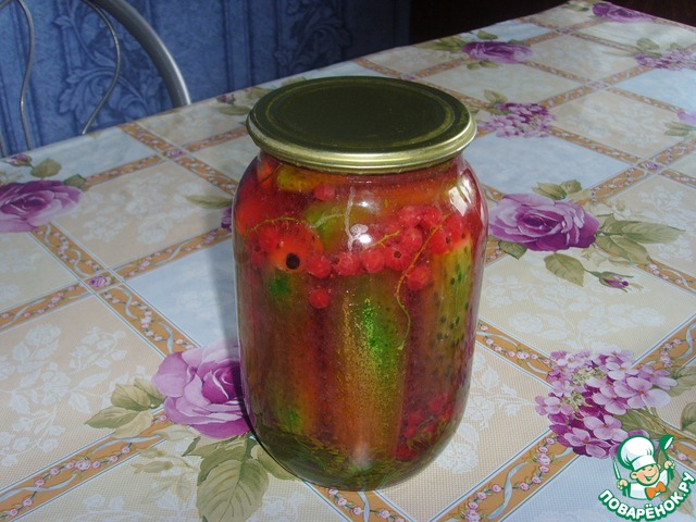 Pickled cucumber with the juice of red currants