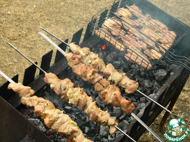 Kebab in onion-lemon marinade