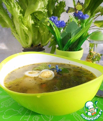 Sorrel soup with cheese and chicken dumplings