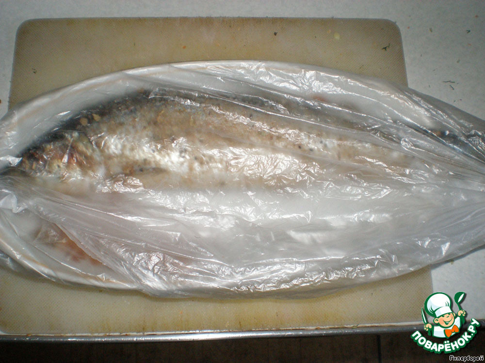 Salted herring
