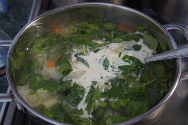 French spring soup