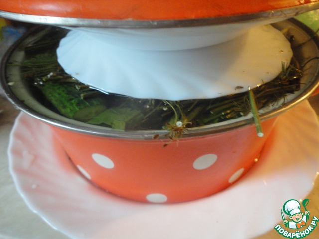 step-11
