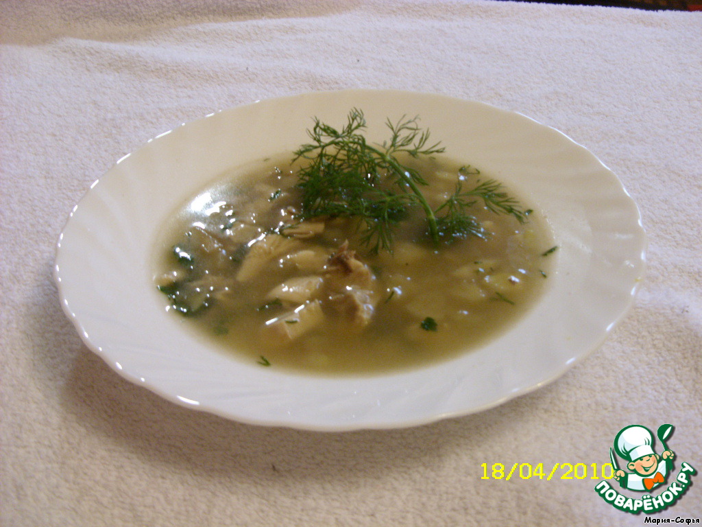 Soup of chicken with Apple and prunes