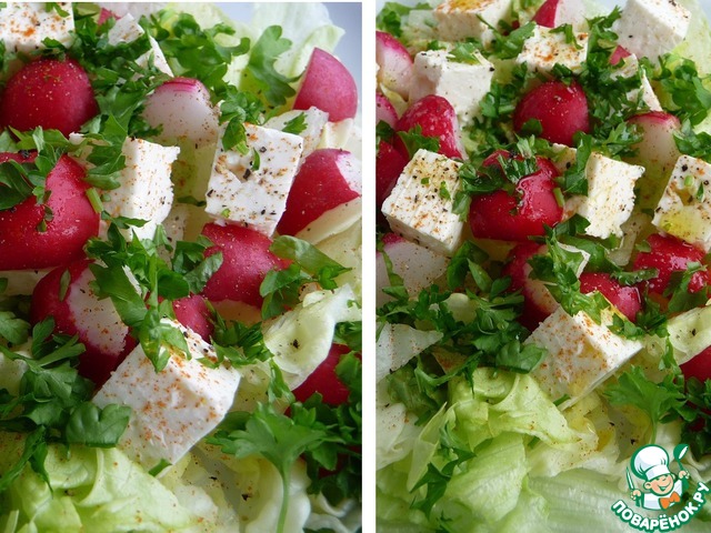 Salad of radish and lettuce