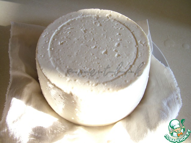 Homemade cheese