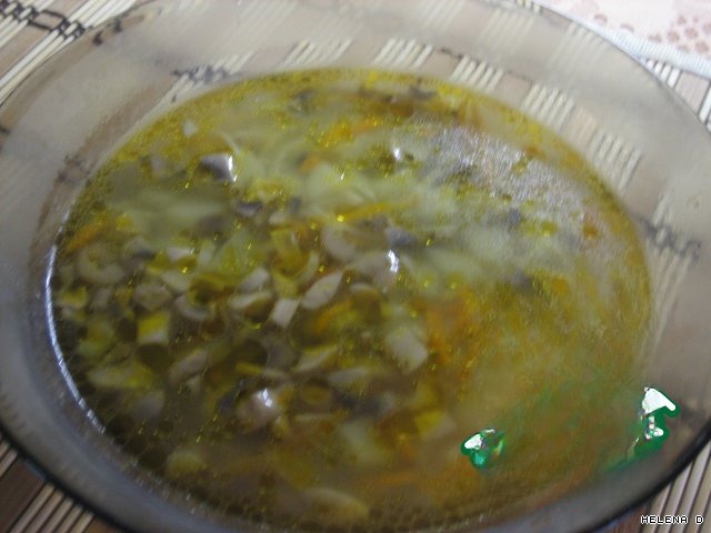 Soup of mushrooms with a 