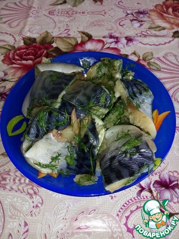 Mackerel 