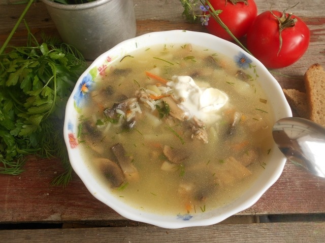 Pickle with mushrooms and rice