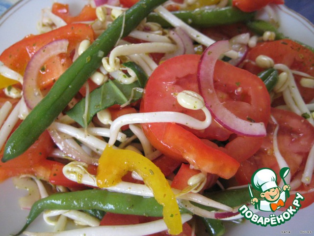 Vegetable salad with tomatoes and green beans