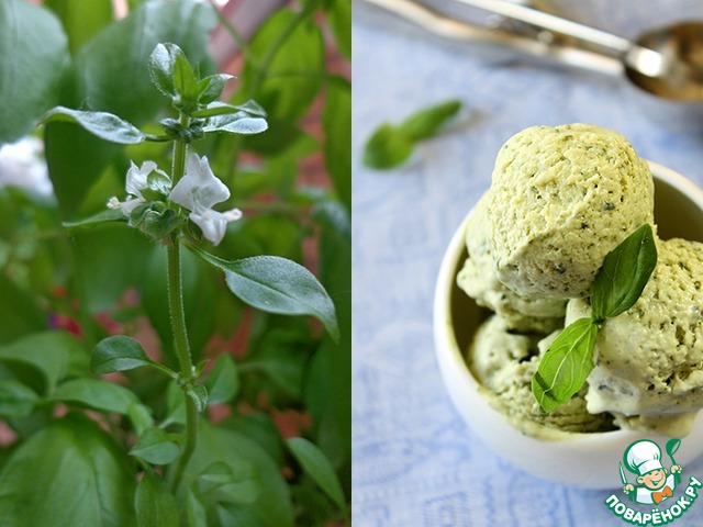 Basil ice cream 