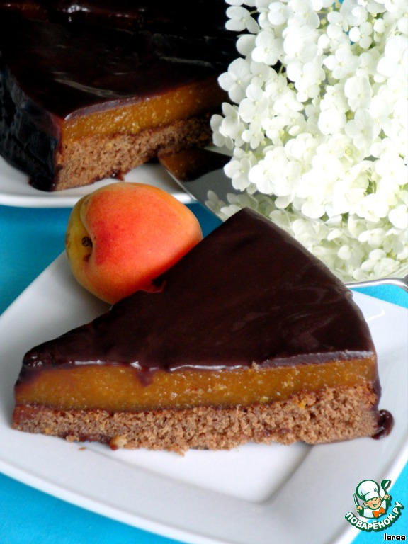 Chocolate cake with apricot layer