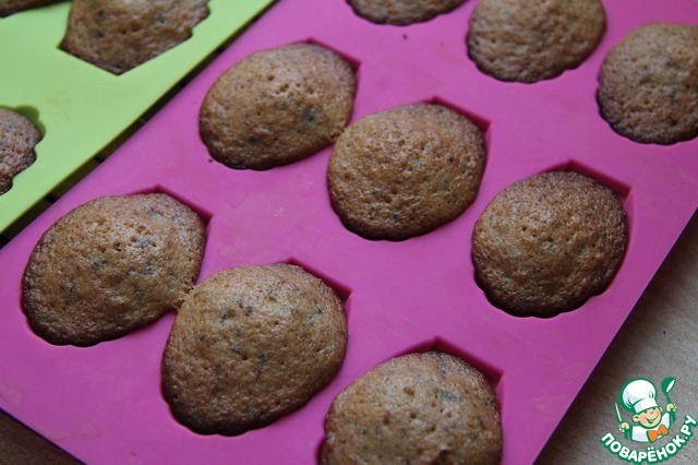 Biscuits honey madeleines with chocolate chips