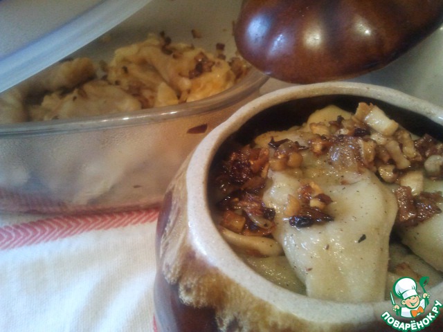 Dumplings with vegetables and mushrooms for a couple