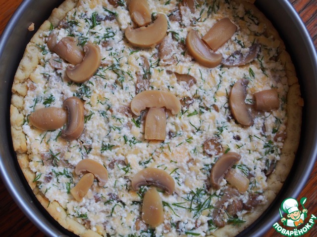 Outdoor curd-cheese pie with mushrooms