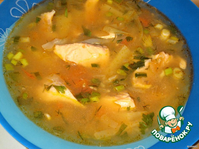 Salmon soup with cabbage and white wine