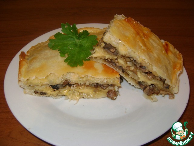 Sloane with mushrooms, onions and cheese