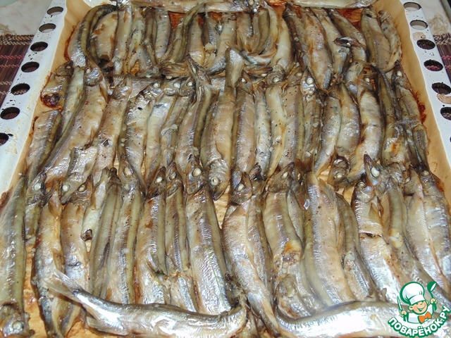 Golden capelin