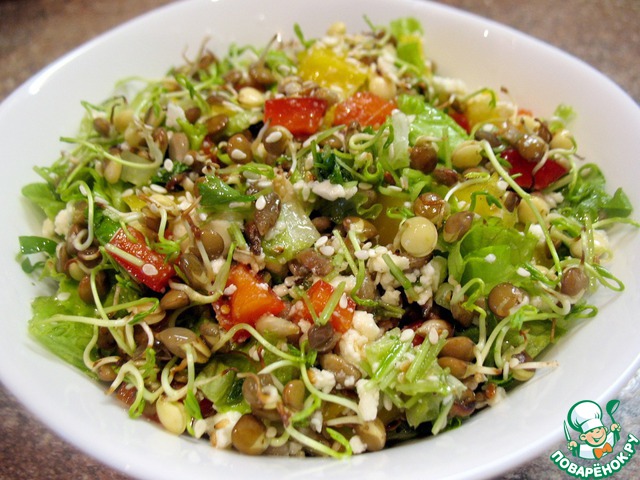 Salad with sprouted lentils