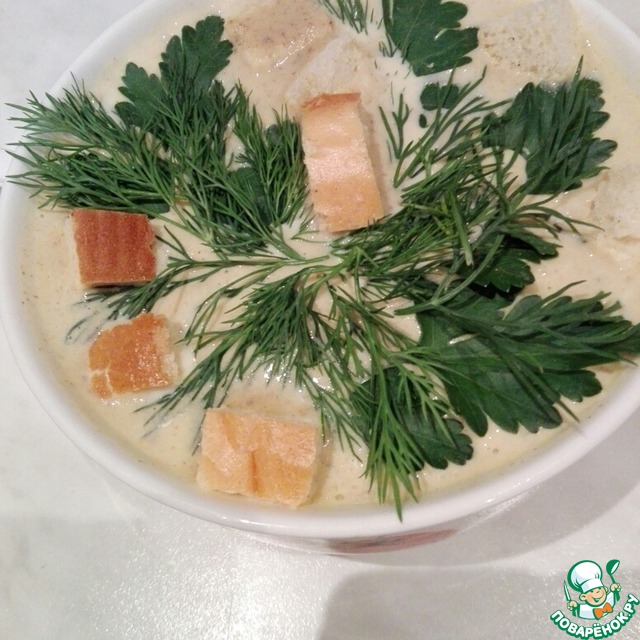 Soup mushrooms in chicken broth