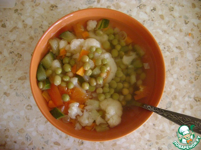 Onion vegetable diet soup