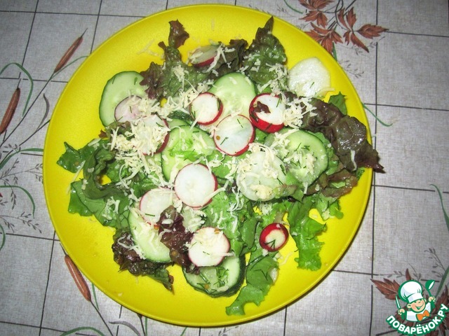 Salad with radish and cucumber