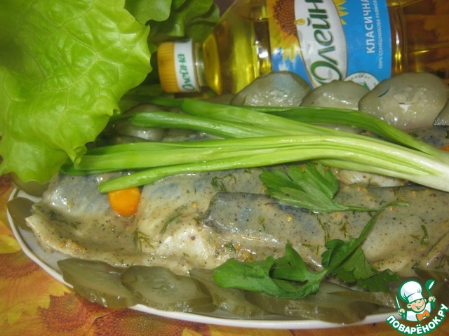 Herring 