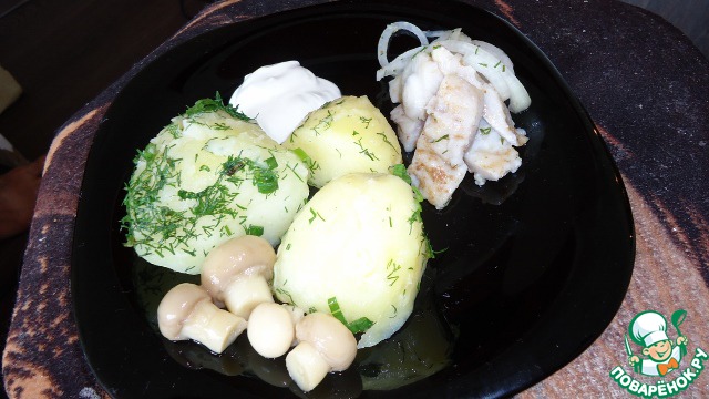 Herring 
