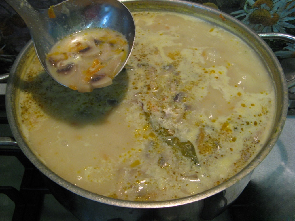Mushroom soup