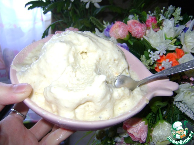 Fast diet ice cream