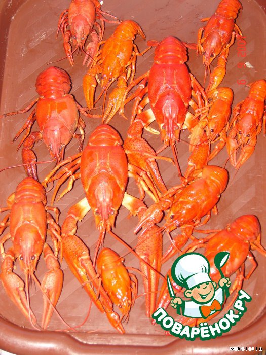 Crabs in beer