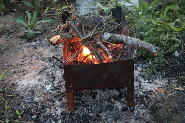 The mushrooms on the grill