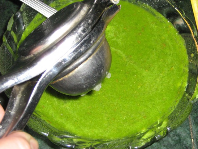 Chutney sauce green