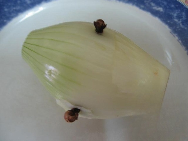 step-1