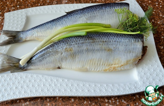 Pickled herring salted