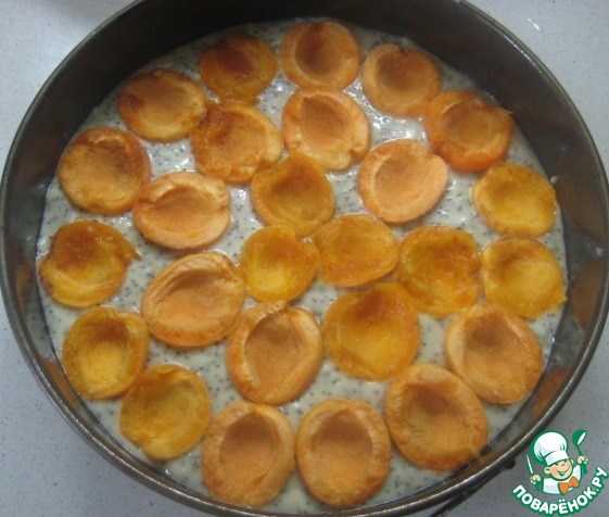 Poppy seed cake with apricots