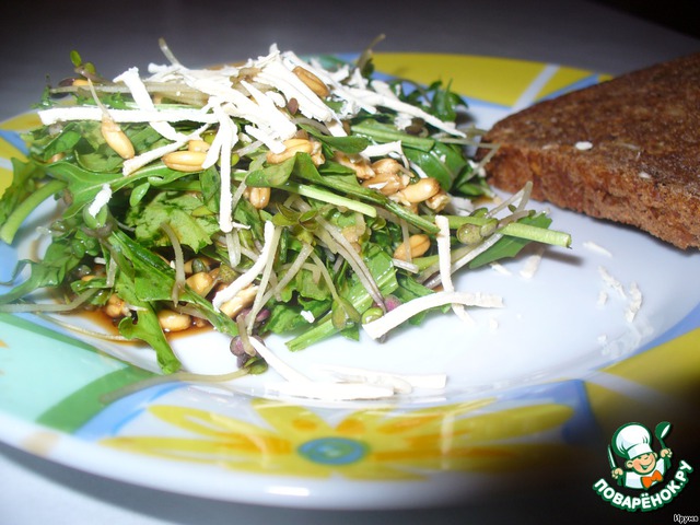 Fresh salad of sprouts and shrimp