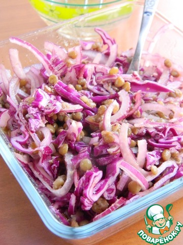 Salad of red cabbage and lentils