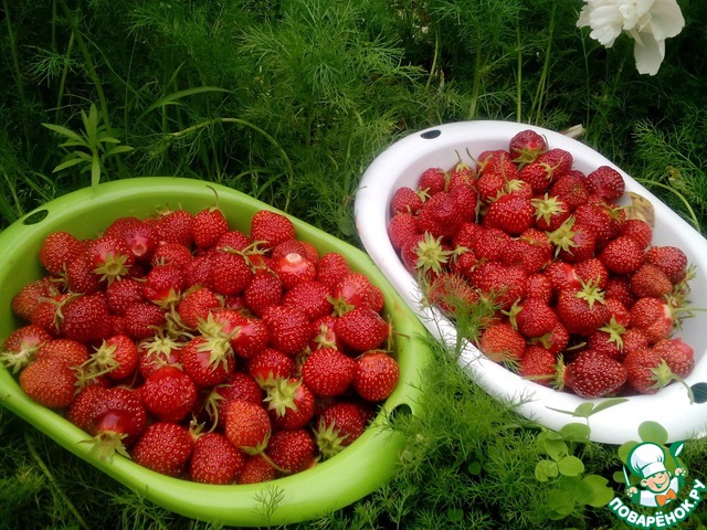 Strawberry sorbet