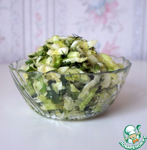 Salad of early cabbage