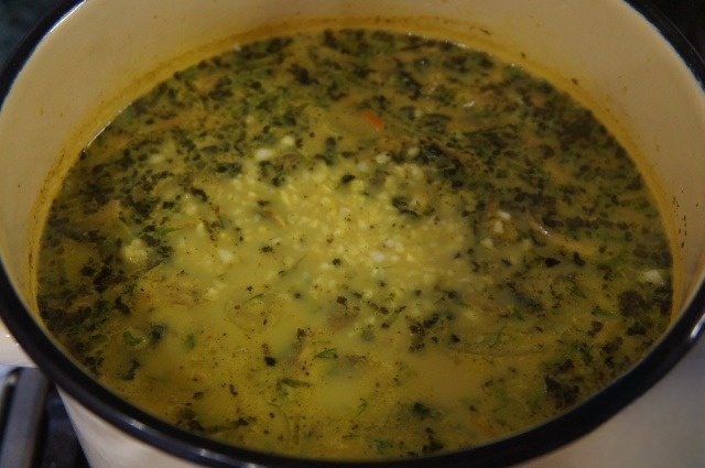 Turkey soup with curry